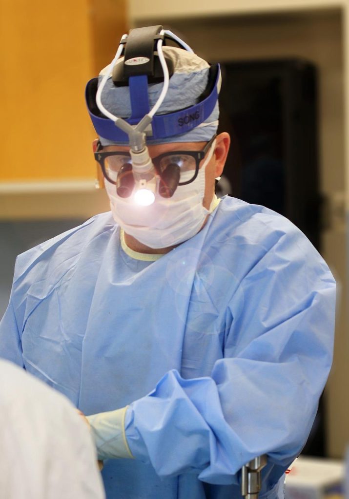 Dierenarts in Maassluis verzorgt huisdier met professionele medische aandacht in moderne kliniek